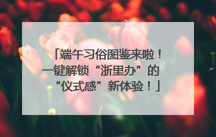端午习俗图鉴来啦！一键解锁“浙里办”的“仪式感”新体验！