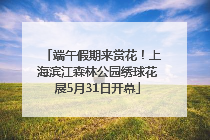 端午假期来赏花！上海滨江森林公园绣球花展5月31日开幕