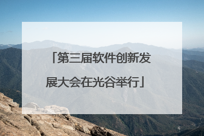第三届软件创新发展大会在光谷举行