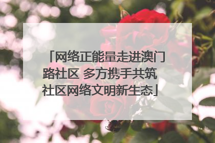 网络正能量走进澳门路社区 多方携手共筑社区网络文明新生态