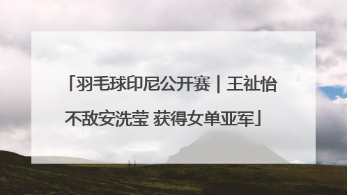 羽毛球印尼公开赛｜王祉怡不敌安洗莹 获得女单亚军