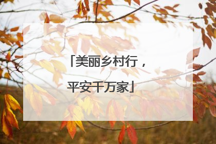 美丽乡村行，平安千万家