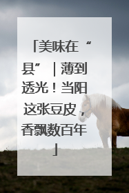 美味在“县”｜薄到透光！当阳这张豆皮，香飘数百年