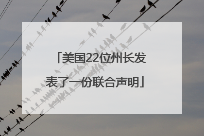 美国22位州长发表了一份联合声明