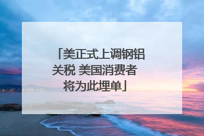 美正式上调钢铝关税 美国消费者将为此埋单