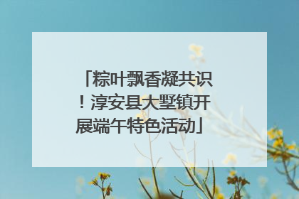 粽叶飘香凝共识！淳安县大墅镇开展端午特色活动