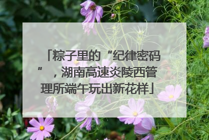 粽子里的“纪律密码”，湖南高速炎陵西管理所端午玩出新花样