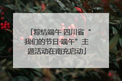 粽情端午 四川省“我们的节日·端午”主题活动在南充启动
