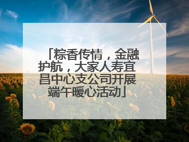 粽香传情，金融护航，大家人寿宜昌中心支公司开展端午暖心活动