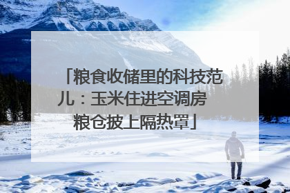 粮食收储里的科技范儿：玉米住进空调房 粮仓披上隔热罩