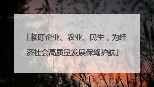 紧盯企业、农业、民生，为经济社会高质量发展保驾护航
