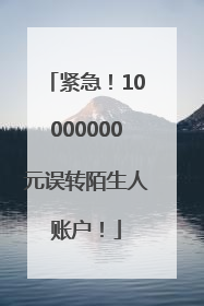 紧急！10000000元误转陌生人账户！