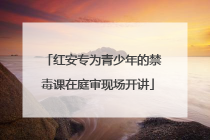 红安专为青少年的禁毒课在庭审现场开讲