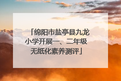 绵阳市盐亭县九龙小学开展一、二年级无纸化素养测评