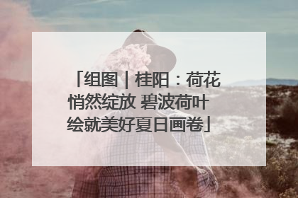 组图｜桂阳：荷花悄然绽放 碧波荷叶绘就美好夏日画卷