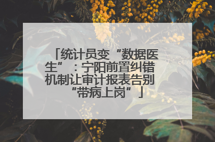 统计员变“数据医生”：宁阳前置纠错机制让审计报表告别“带病上岗”