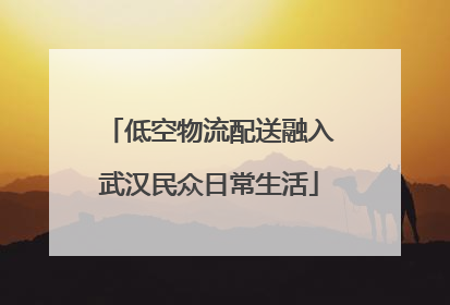 低空物流配送融入武汉民众日常生活