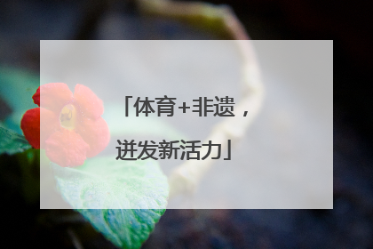 体育+非遗，迸发新活力