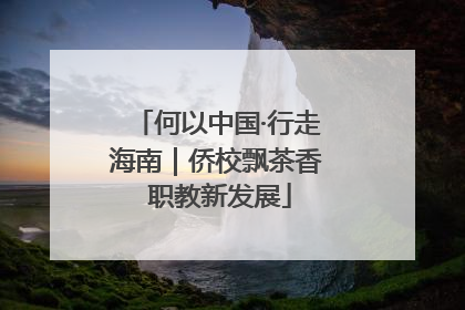 何以中国·行走海南｜侨校飘茶香 职教新发展
