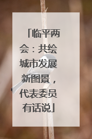 临平两会：共绘城市发展新图景，代表委员有话说