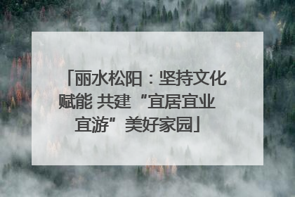 丽水松阳：坚持文化赋能 共建“宜居宜业宜游”美好家园
