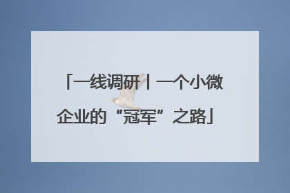 一线调研丨一个小微企业的“冠军”之路