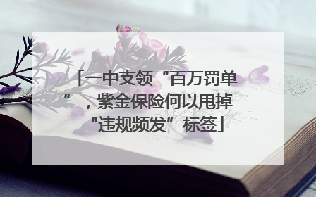 一中支领“百万罚单”，紫金保险何以甩掉“违规频发”标签