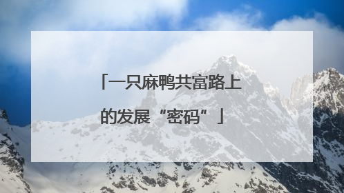一只麻鸭共富路上的发展“密码”