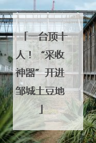 一台顶十人！“采收神器”开进邹城土豆地