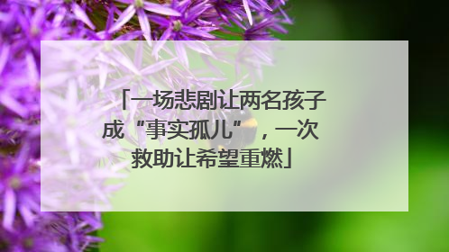 一场悲剧让两名孩子成“事实孤儿”，一次救助让希望重燃