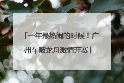 一年最热闹的时候！广州车陂龙舟激情开赛