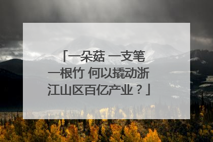 一朵菇 一支笔 一根竹 何以撬动浙江山区百亿产业？