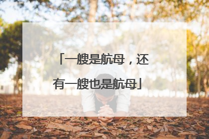 一艘是航母，还有一艘也是航母