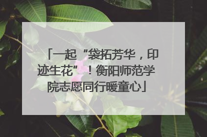 一起“袋拓芳华，印迹生花”！衡阳师范学院志愿同行暖童心