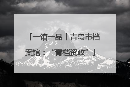 一馆一品丨青岛市档案馆：“青档资政”