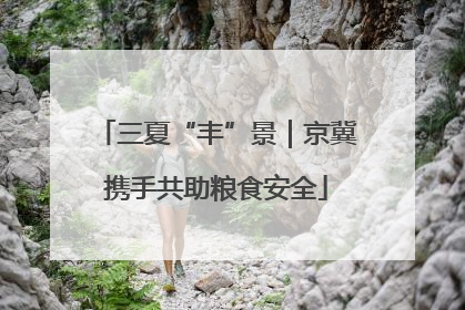 三夏“丰”景｜京冀携手共助粮食安全