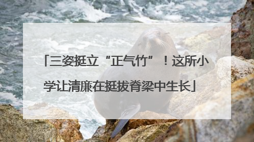 三姿挺立“正气竹”！这所小学让清廉在挺拔脊梁中生长