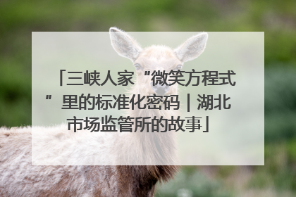 三峡人家“微笑方程式”里的标准化密码｜湖北市场监管所的故事