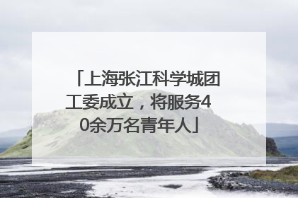 上海张江科学城团工委成立，将服务40余万名青年人