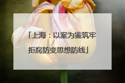 上海：以案为鉴筑牢拒腐防变思想防线