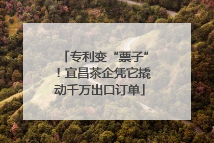 专利变“票子”！宜昌茶企凭它撬动千万出口订单