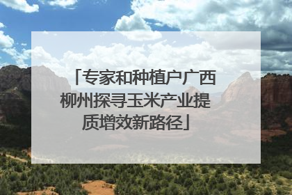专家和种植户广西柳州探寻玉米产业提质增效新路径