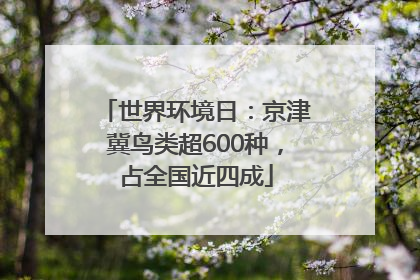 世界环境日：京津冀鸟类超600种，占全国近四成