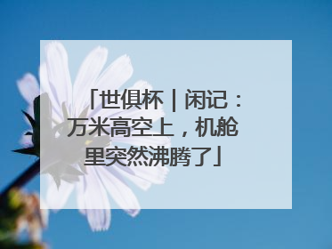 世俱杯｜闲记：万米高空上，机舱里突然沸腾了