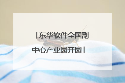 东华软件全国副中心产业园开园