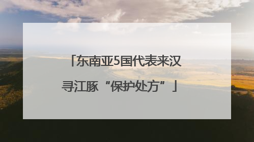 东南亚5国代表来汉寻江豚“保护处方”