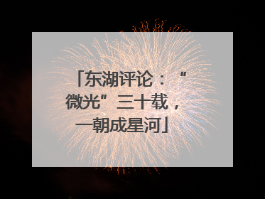 东湖评论：“微光”三十载，一朝成星河