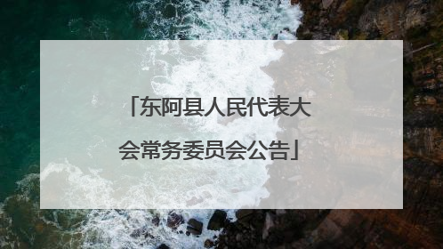 东阿县人民代表大会常务委员会公告