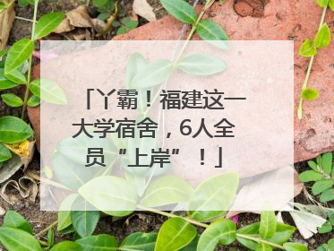 丫霸！福建这一大学宿舍，6人全员“上岸”！