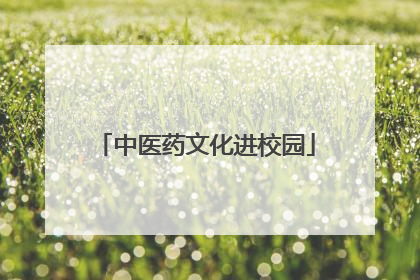 中医药文化进校园